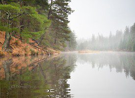 Fishing Lessons in Algonquin